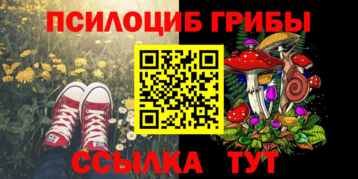 Псилоцибиновые грибы MAGIC MUSHROOMS  как найти наркотики  Кулебаки  Вход с VPN 